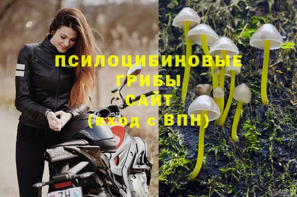 стафф Надым