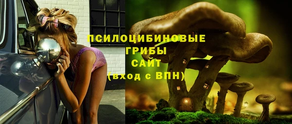 стафф Надым