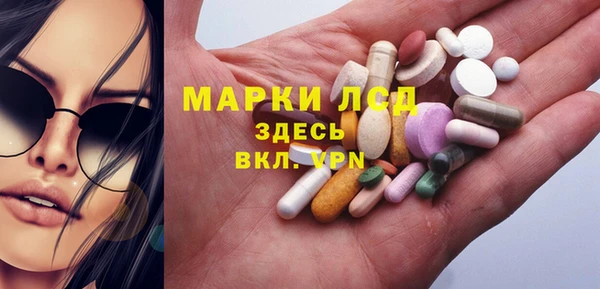 стафф Надым