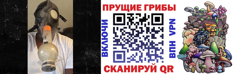 Галлюциногенные грибы Psilocybe  Томилино 